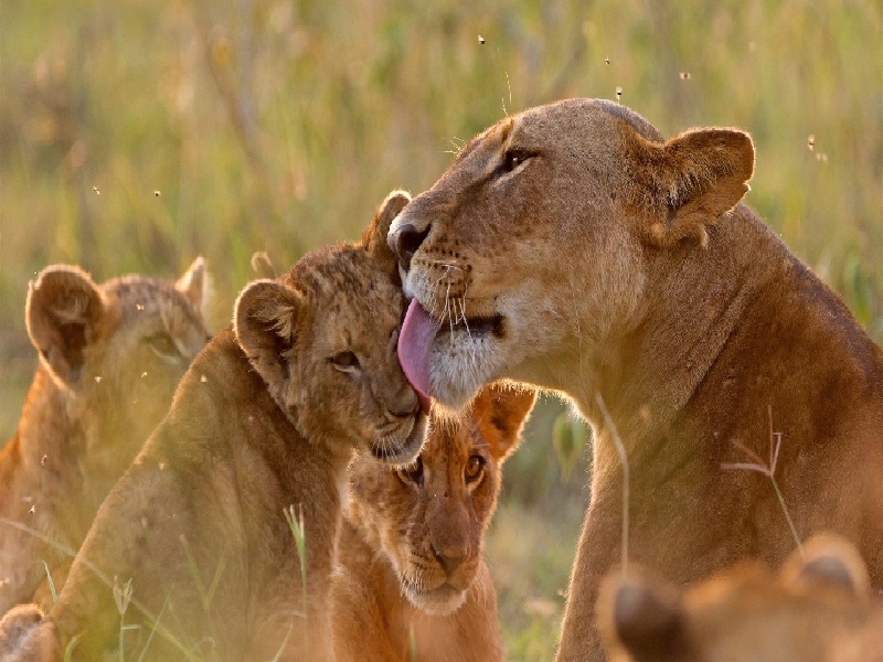 银川试管宝宝生后（试管期间老公泡澡）